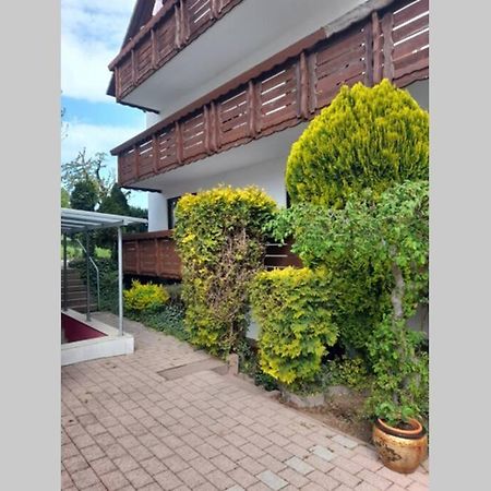 Souterrain Wohnung In Bensheim Dış mekan fotoğraf