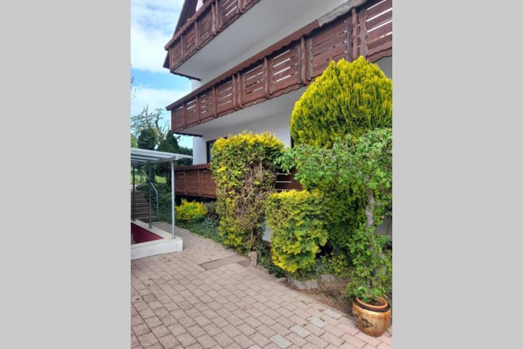 Souterrain Wohnung In Bensheim Dış mekan fotoğraf